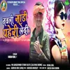 About Navli Sadi Paheri Ledi Song