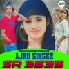 About Ajru Singer SR 3535 Song