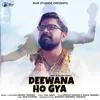 About Deewana Ho Gya Song
