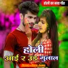About Holi Aai Re Ude Gulal Song