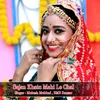 About Sajan Khatu Mahi Le Chal Song