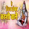 About HAI SHIV SHANKAR KASHI WALE Song