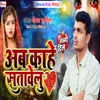 About Ab Kahe Satawelu Song