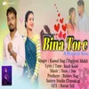 About Bina Tore Song
