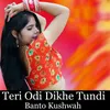 About Teri Odi Dikhe Tundi Song