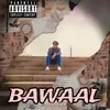About Bawaal Song