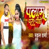 About PALAMU PURA PICHHE Song