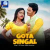 Gota Singal