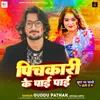 About Pichkari Ke Paai Paai Song