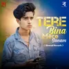 About Tere Bina Mere Sanam (Slowed  Reverb) Song