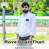 About Rove Dosti Thari Song