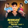 About Bhanva Indor Gelo Bhaya Part 1 Song