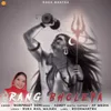 About RANG BHOLEYA Song