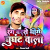 About Rang Barse Bheege Ghunghat Wali Song