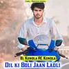 About Dil ki Boli Jaan Ladli Song