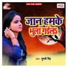 About Jaan Hamke Bhula Gaila Song