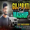 About Gujrati Sad Mashup Song