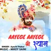 About Aayege Aayege Shree Shyam Song