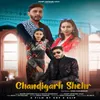 About Chandigarh Shehr Song