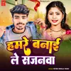 About Hamre Banai Le Sajanwa Song