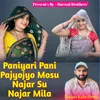 About Paniyari Pani Pajyojyo Mosu Najar Su Najar Mila Song