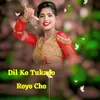 About Dil Ko Tukado Royo Cho Song