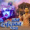 About Jab Se Vrindavan Gaya Song