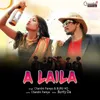 About A Laila (Ho Munda) Song