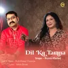 About Dil Ka Tarana Song
