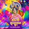 About Holi Vrindavan Me Song