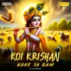 About Koi Krishan Kahe Ya Ram Song