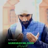 About Gamzadan Dil Folin Song