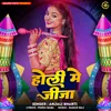 About Holi Mein Jija Song