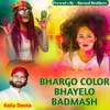 About BHARGO COLOR BHAYELO BADMASH Song