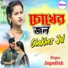 About Chokher Jol Song