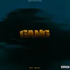 About Gang Song