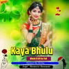 About Kaya Bhulu Bhulu R Dil Ka Tuk Song