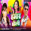 About Hamar Holi Song