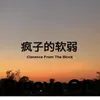 About Feng Zi De Ruan Ruo Song