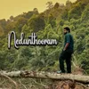 About Nedunthooram Song