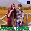 About Pagal Kargi Song