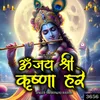 Om Jai Shree Krishna Hare