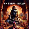 About Om Namah Shivaya Song