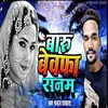 About Baru Bewafa Sanam Song