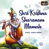 About Shri Krishna Sharanam Mamah Song