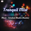 About Tranquil Mist Song