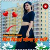 About Dil Diyaee Meena Ku Saante Song