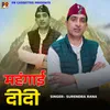 About Mehngai Didi Song