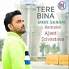 Tere Bina Mere Sanam - Remake