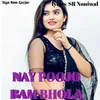 About Nay Poojo Bam Bhola Song